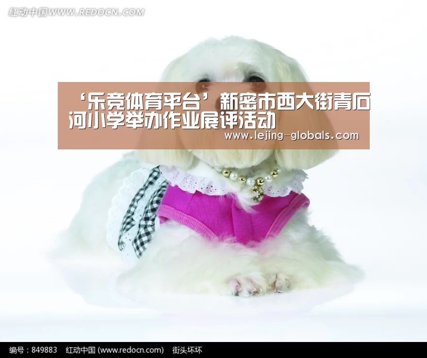 ‘乐竞体育平台’新密市西大街青石河小学举办作业展评活动(图1) 乐竞体育下载